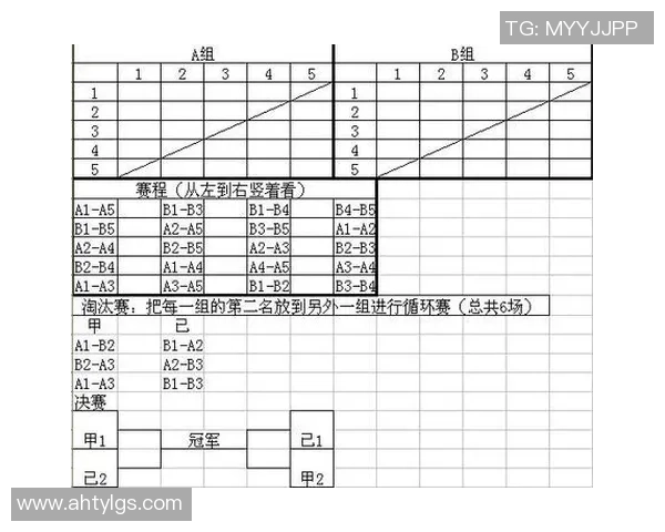 重庆羽毛球队选拔赛精彩点评团队配合与个人表现的完美结合